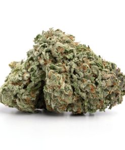 Grease Monkey Strain