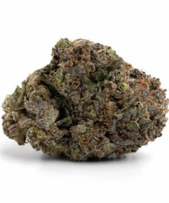 Greasy Pink Strain